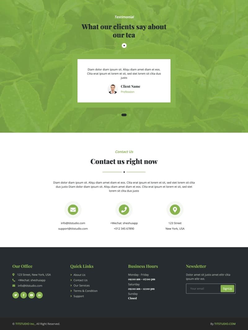 茶叶网店网站设计模板