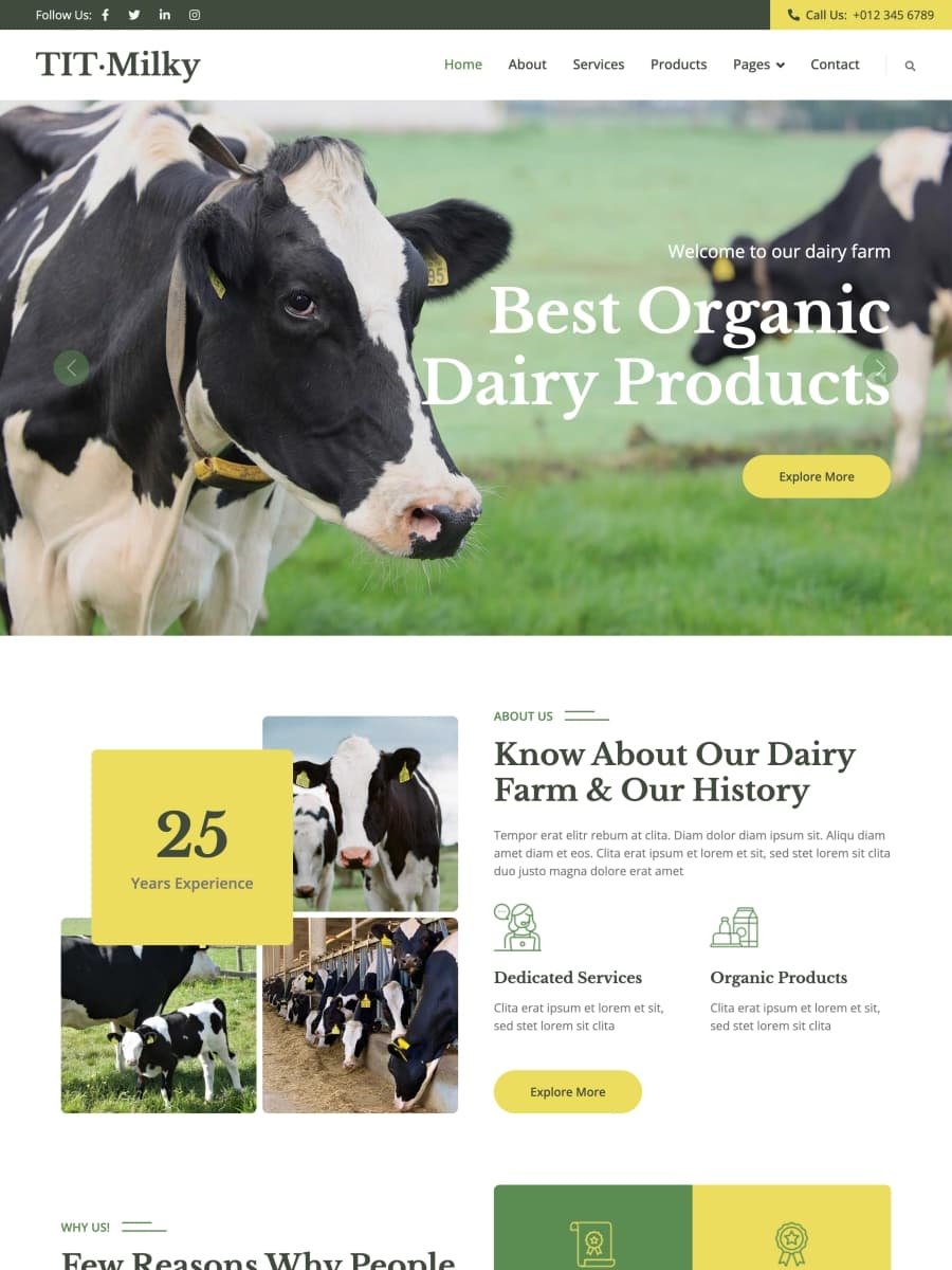 适合农场养牛专业户品牌网站设计模板